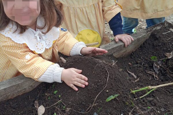 WhatsApp Image 2026-03-05 at 11.32.09