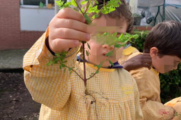 WhatsApp Image 2026-03-05 at 11.32.10 (1)