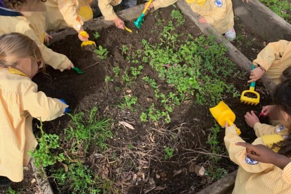 WhatsApp Image 2026-03-05 at 11.32.11