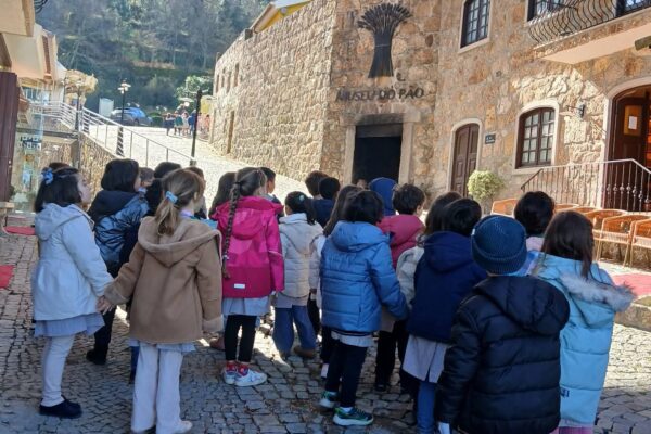 WhatsApp Image 2026-03-16 at 15.14.19 (3)