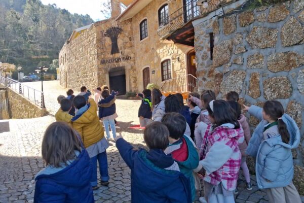 WhatsApp Image 2026-03-16 at 15.14.19 (4)