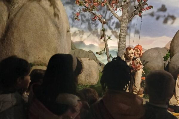 WhatsApp Image 2026-03-16 at 15.14.19 (5)