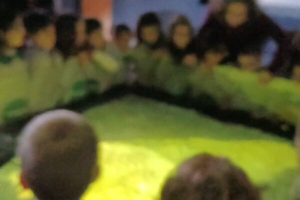 WhatsApp Image 2026-03-16 at 15.14.20 (1)