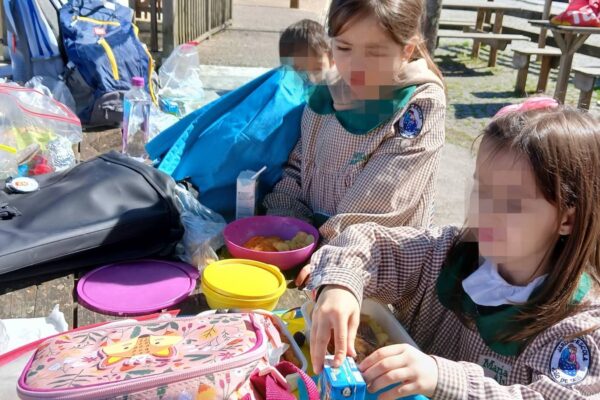 WhatsApp Image 2026-03-16 at 15.14.20 (2)