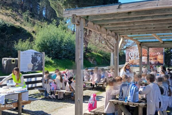 WhatsApp Image 2026-03-16 at 15.14.20