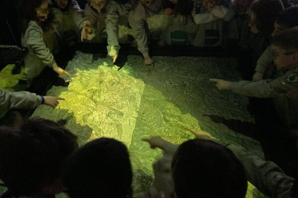 WhatsApp Image 2026-03-16 at 15.14.21 (2)