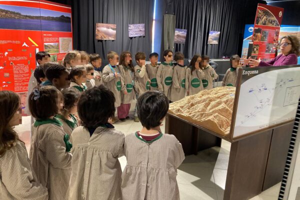 WhatsApp Image 2026-03-16 at 15.14.22