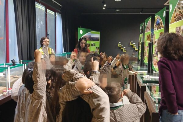 WhatsApp Image 2026-03-16 at 15.14.23 (1)