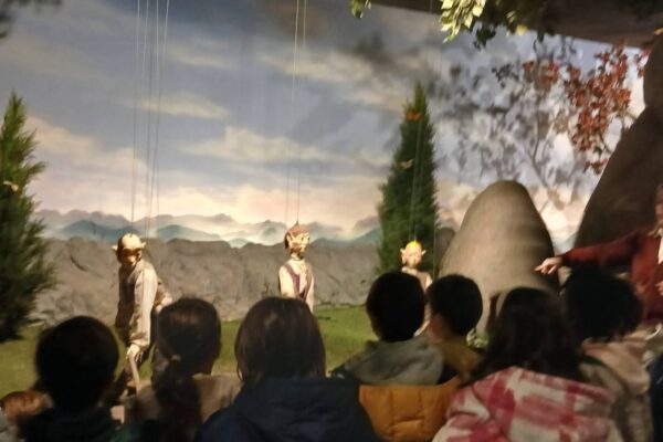 WhatsApp Image 2026-03-16 at 15.14.23 (4)