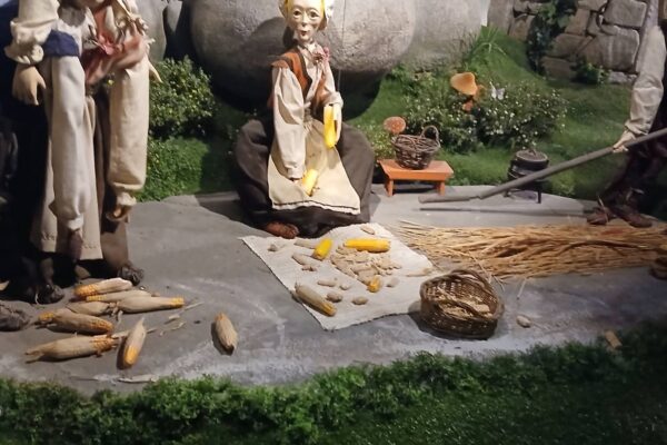 WhatsApp Image 2026-03-16 at 15.14.23