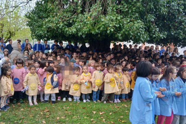 WhatsApp Image 2026-03-27 at 11.32.08 (3)