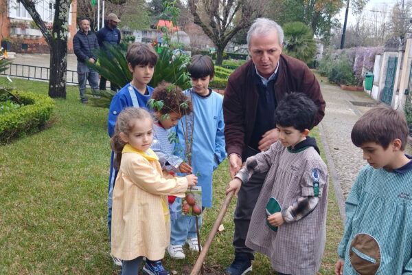 WhatsApp Image 2026-03-27 at 11.32.09