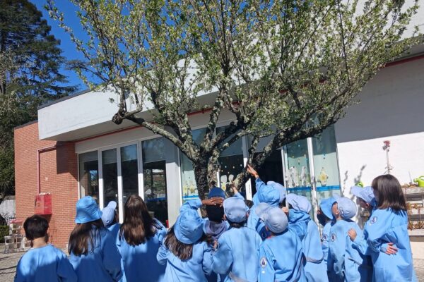 WhatsApp Image 2026-03-27 at 11.32.11 (1)