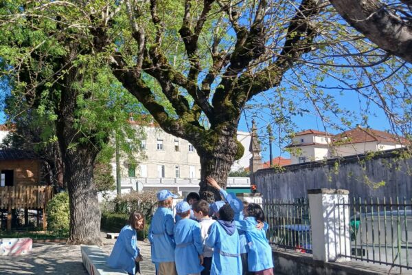 WhatsApp Image 2026-03-27 at 11.32.12 (1)