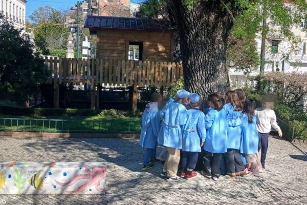 WhatsApp Image 2026-03-27 at 11.32.12 (2)