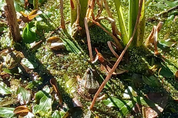 WhatsApp Image 2026-03-27 at 11.32.12 (3)