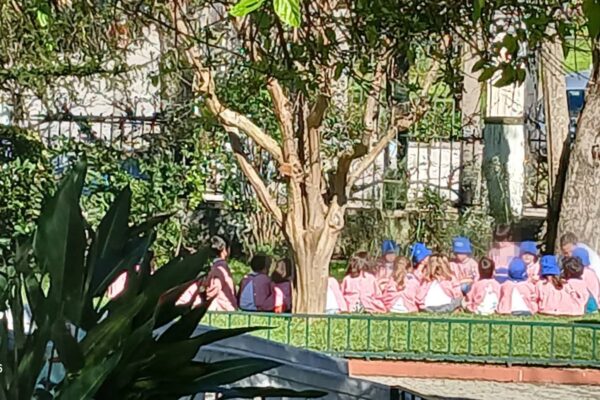 WhatsApp Image 2026-03-27 at 11.32.12 (5)