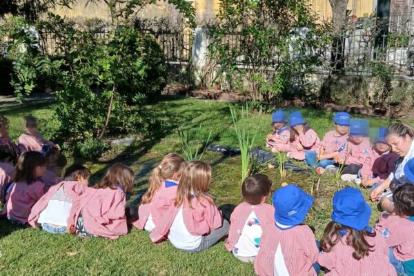 WhatsApp Image 2026-03-27 at 11.32.12 (6)