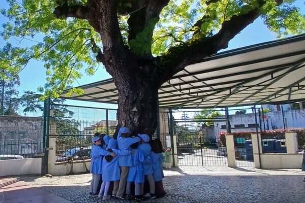 WhatsApp Image 2026-03-27 at 11.32.12