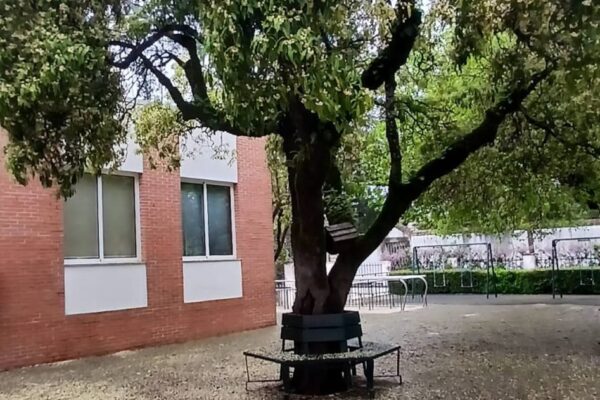 WhatsApp Image 2026-03-27 at 11.32.17 (1)