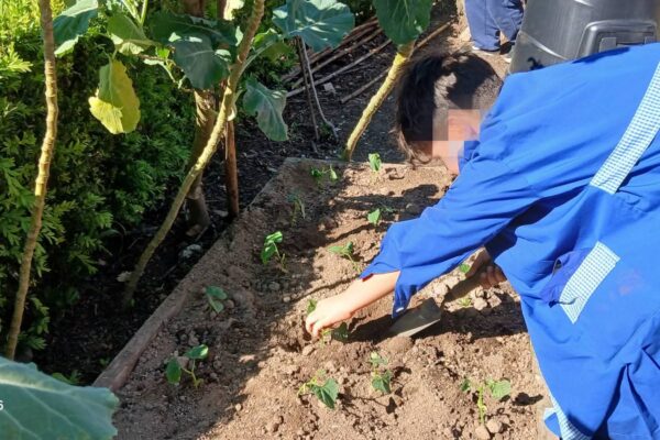 WhatsApp Image 2026-04-10 at 10.10.15 (1)