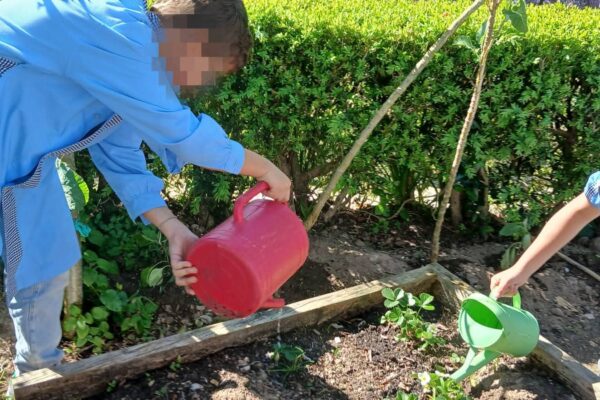 WhatsApp Image 2026-04-10 at 10.10.15 (2)