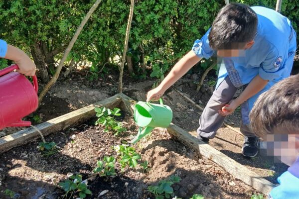 WhatsApp Image 2026-04-10 at 10.10.15