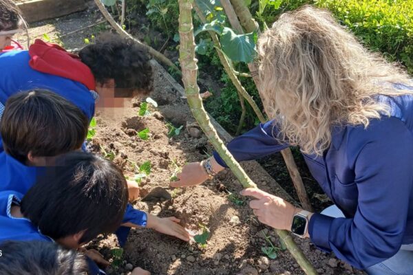 WhatsApp Image 2026-04-10 at 10.10.16 (1)