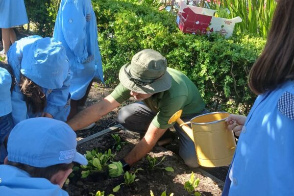 WhatsApp Image 2026-04-10 at 10.10.16