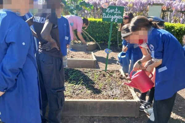 WhatsApp Image 2026-04-10 at 10.10.17 (1)