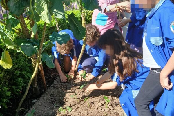 WhatsApp Image 2026-04-10 at 10.10.17 (2)