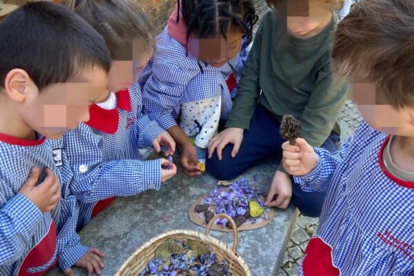 WhatsApp Image 2026-04-10 at 10.10.20 (1)