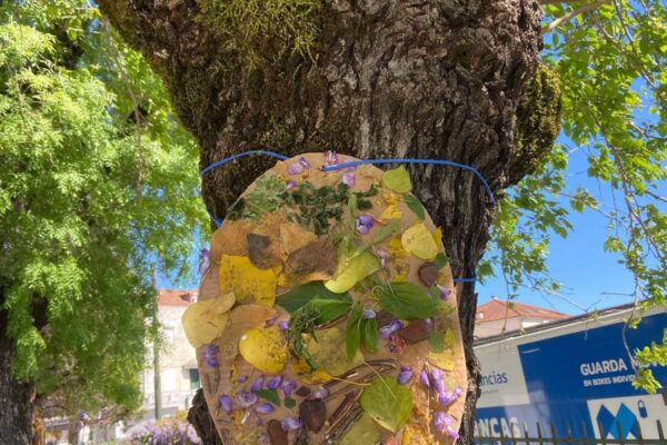 WhatsApp Image 2026-04-10 at 10.10.21 (4)