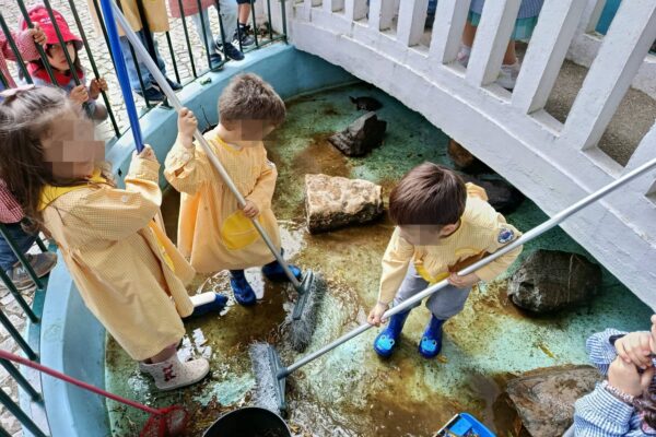 WhatsApp Image 2026-04-10 at 10.10.22 (2)