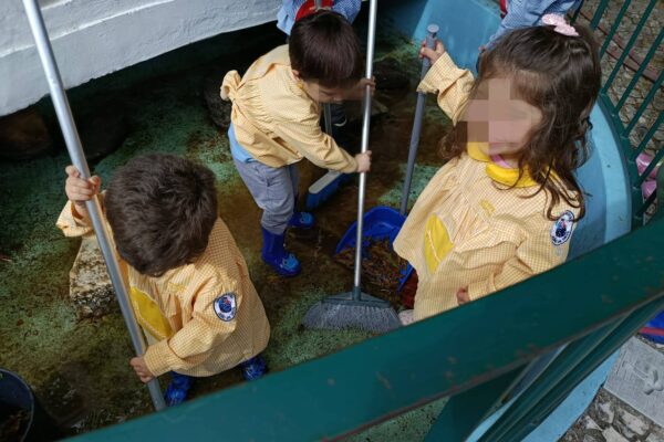 WhatsApp Image 2026-04-10 at 10.10.22 (3)