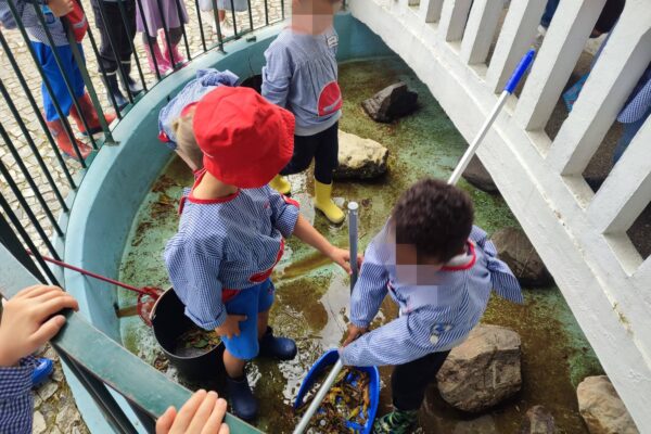 WhatsApp Image 2026-04-10 at 10.10.22 (4)