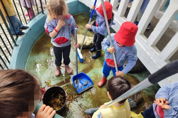 WhatsApp Image 2026-04-10 at 10.10.22 (5)