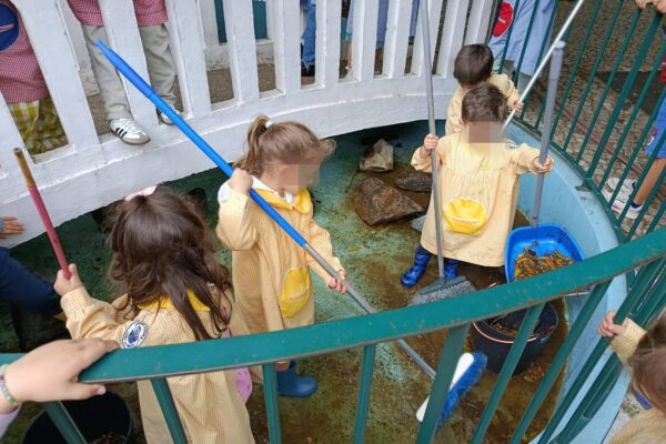 WhatsApp Image 2026-04-10 at 10.10.22 (6)