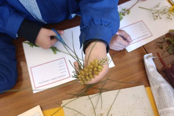 WhatsApp Image 2026-04-21 at 11.49.40 (1)