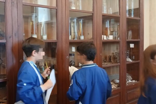 WhatsApp Image 2026-04-21 at 11.49.40 (2)