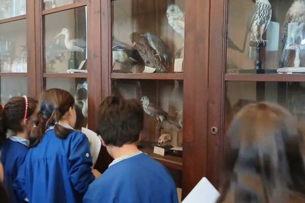 WhatsApp Image 2026-04-21 at 11.49.41 (2)