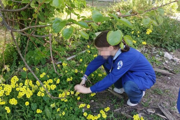 WhatsApp Image 2026-04-21 at 11.49.41 (3)