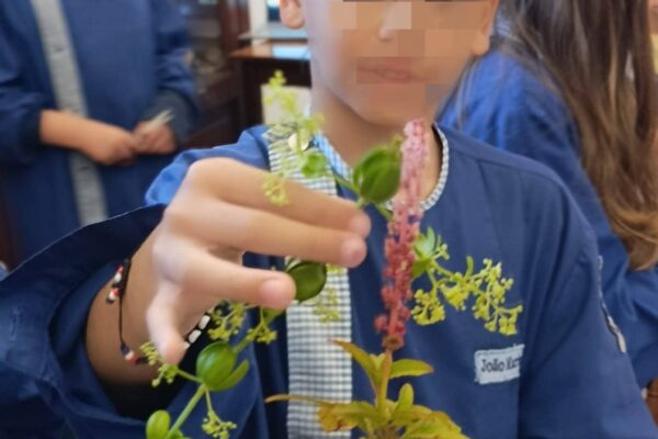 WhatsApp Image 2026-04-21 at 11.49.41