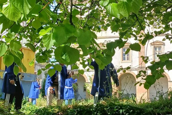 WhatsApp Image 2026-04-21 at 11.49.42 (1)