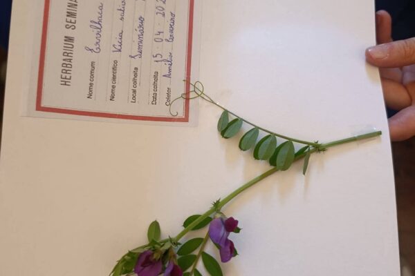 WhatsApp Image 2026-04-21 at 11.49.42 (2)