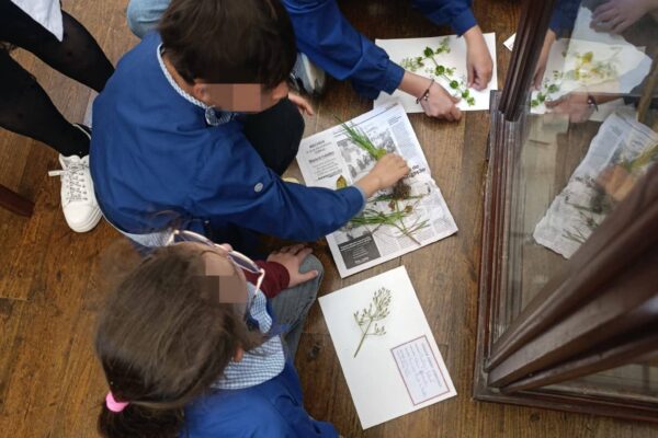 WhatsApp Image 2026-04-21 at 11.49.42 (5)