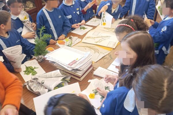 WhatsApp Image 2026-04-21 at 11.49.42 (6)