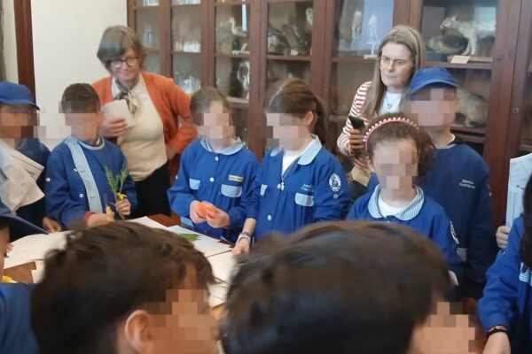 WhatsApp Image 2026-04-21 at 11.49.42