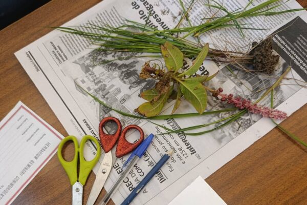 WhatsApp Image 2026-04-21 at 11.49.43 (1)