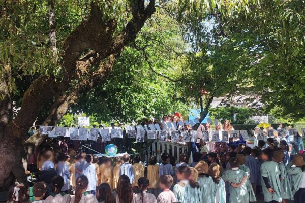 WhatsApp Image 2026-04-27 at 15.14.25 (2)